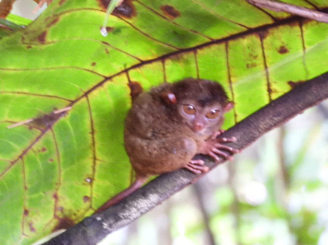 Destinations Tour-曼达鲁永必去景点