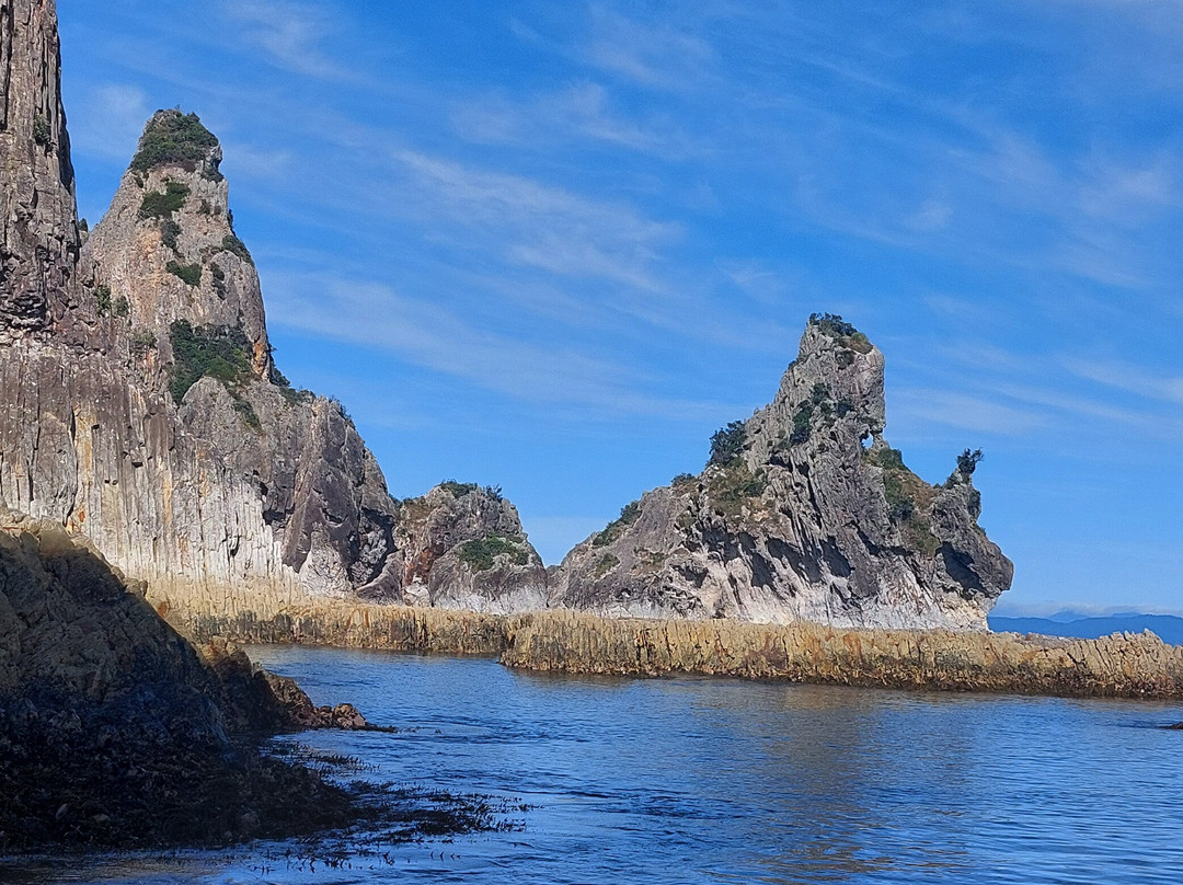 Coromandel Ocean Adventures-Tairua必去景点