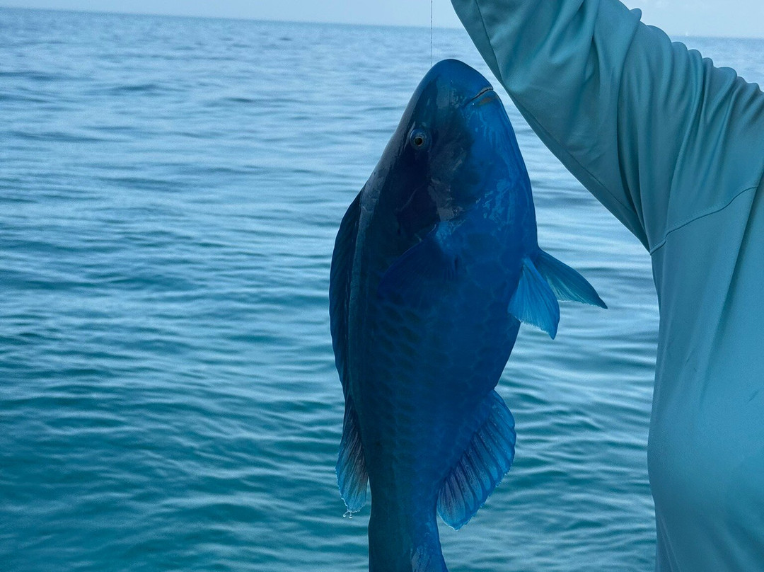 Dirty Boat-伊斯拉摩拉达必去景点