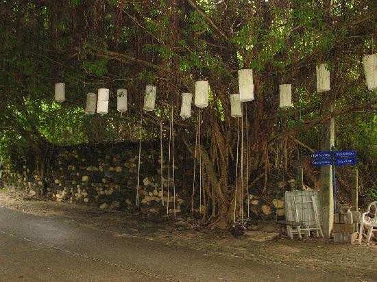 South Andaman Sea Hot Spa Resort主图
