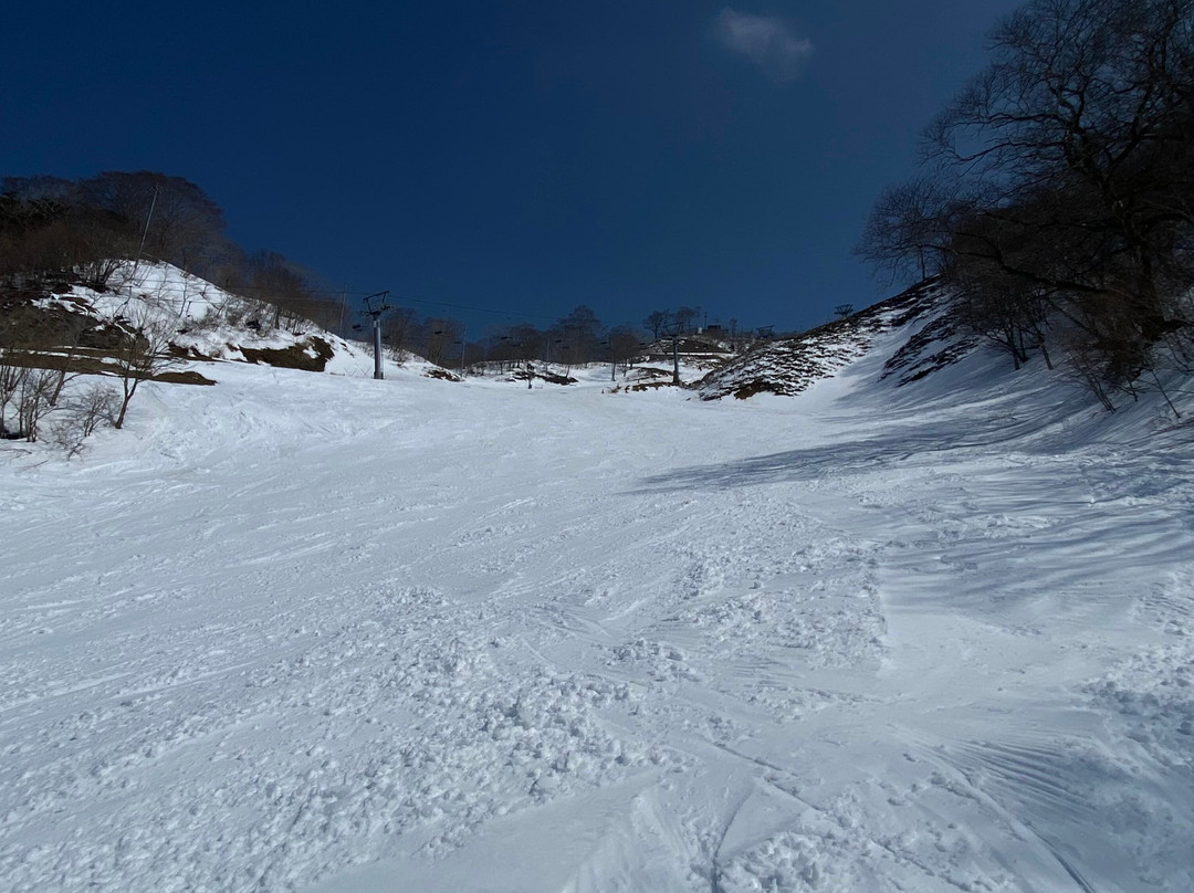 Gransnow Okuibuki-米原市必去景点