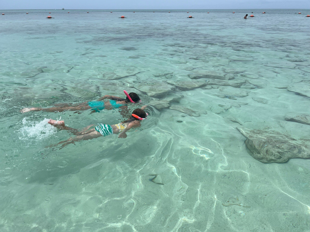 Bight Reef (Coral Gardens)-普罗维登西亚莱斯必去景点