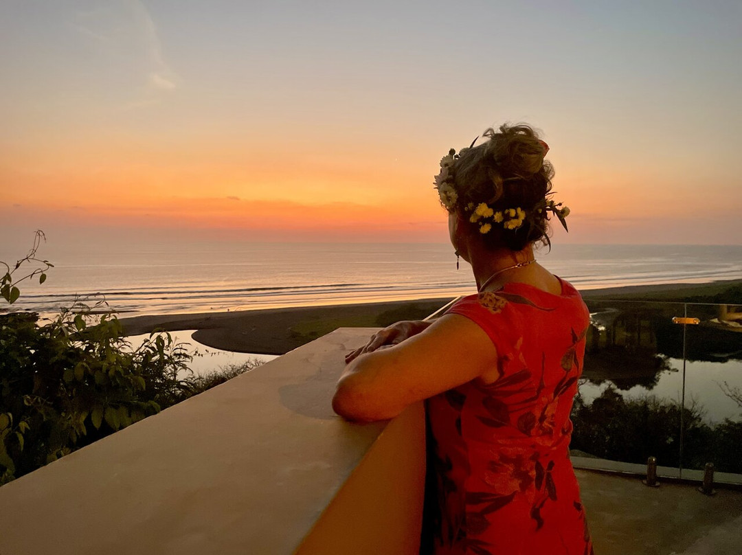 Surf Bikini Retreat景点图片