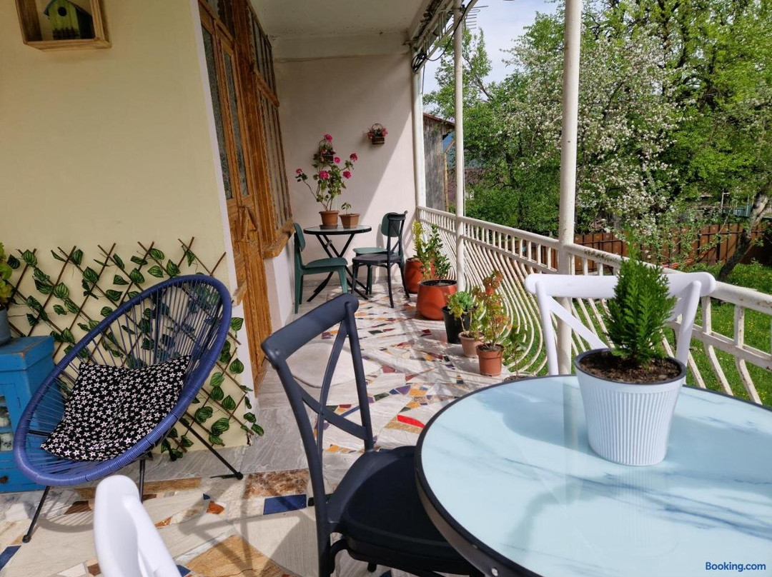 Guest House Mebo