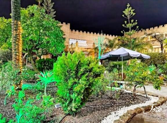 卡斯蒂略广场酒店主图