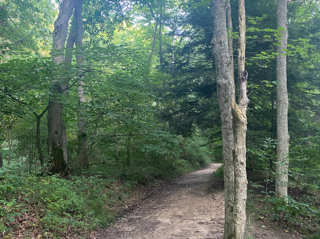 Mohican State Park-Loudonville必去景点