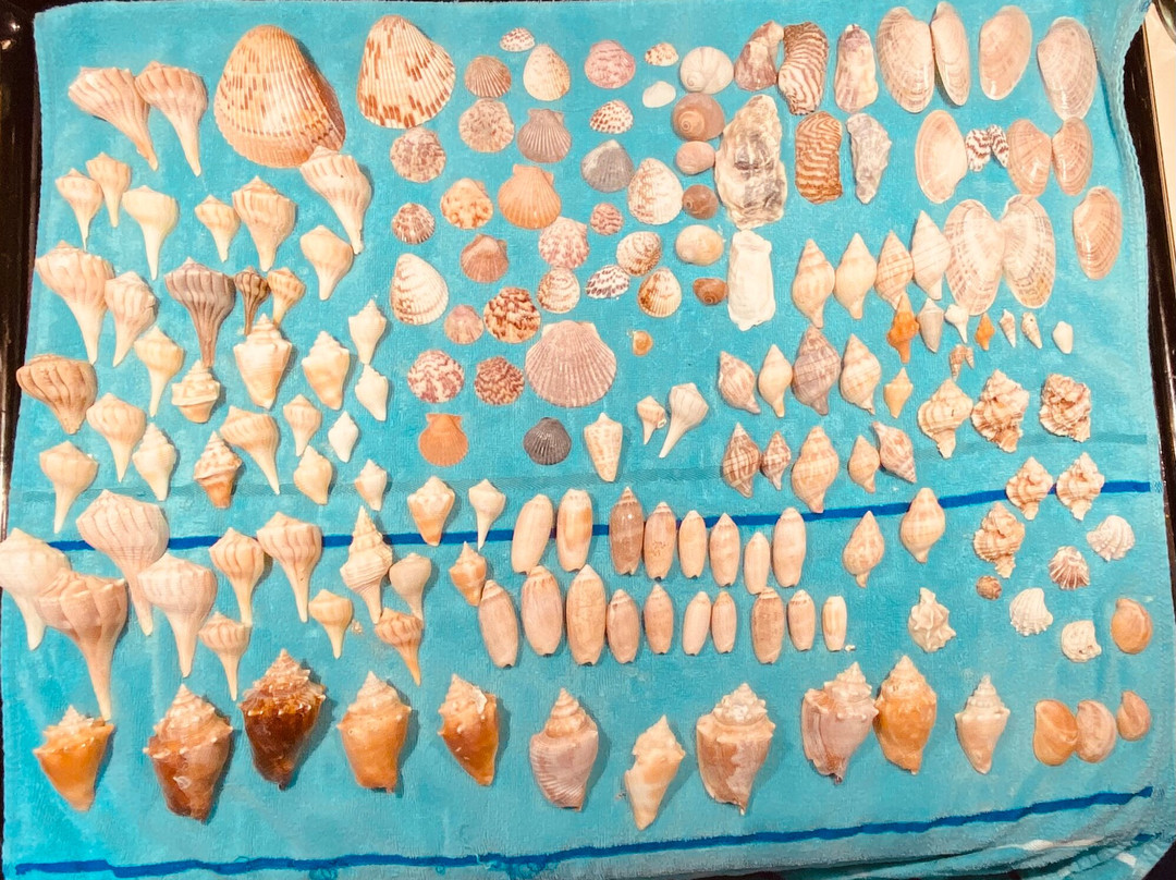 Reel Kind Fishing and Tours-Goodland必去景点