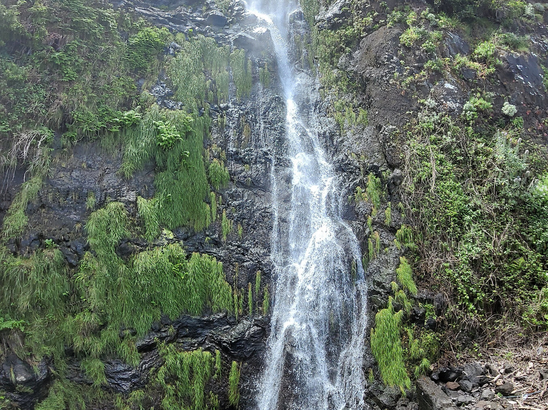 My Guide Madeira-沙尔必去景点