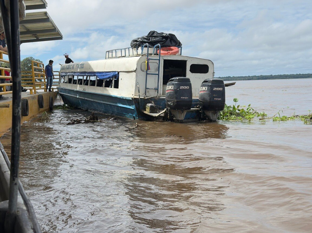 Amazonas Jungle Tours Operator景点图片