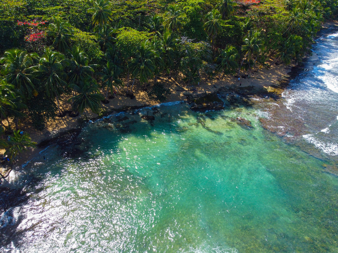 Paticas Travel-圣何塞必去景点