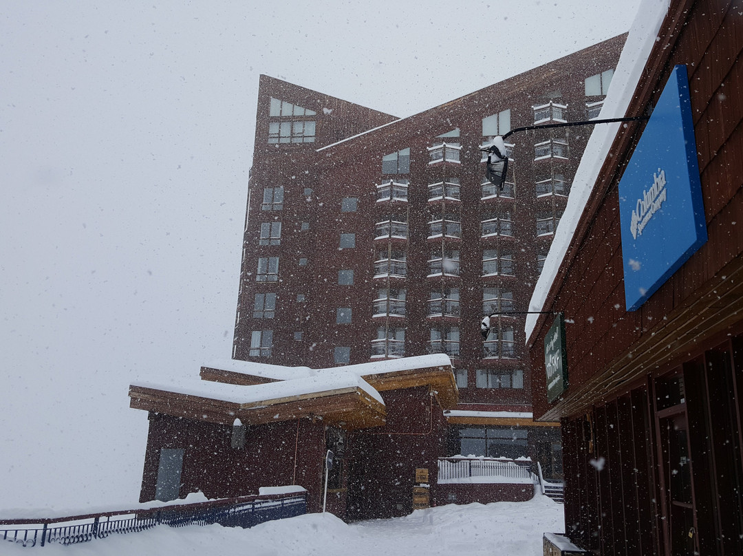 Chilean Mountain-圣地亚哥必去景点