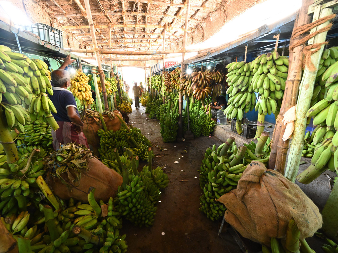 Madurai Inhabitants-马杜赖必去景点