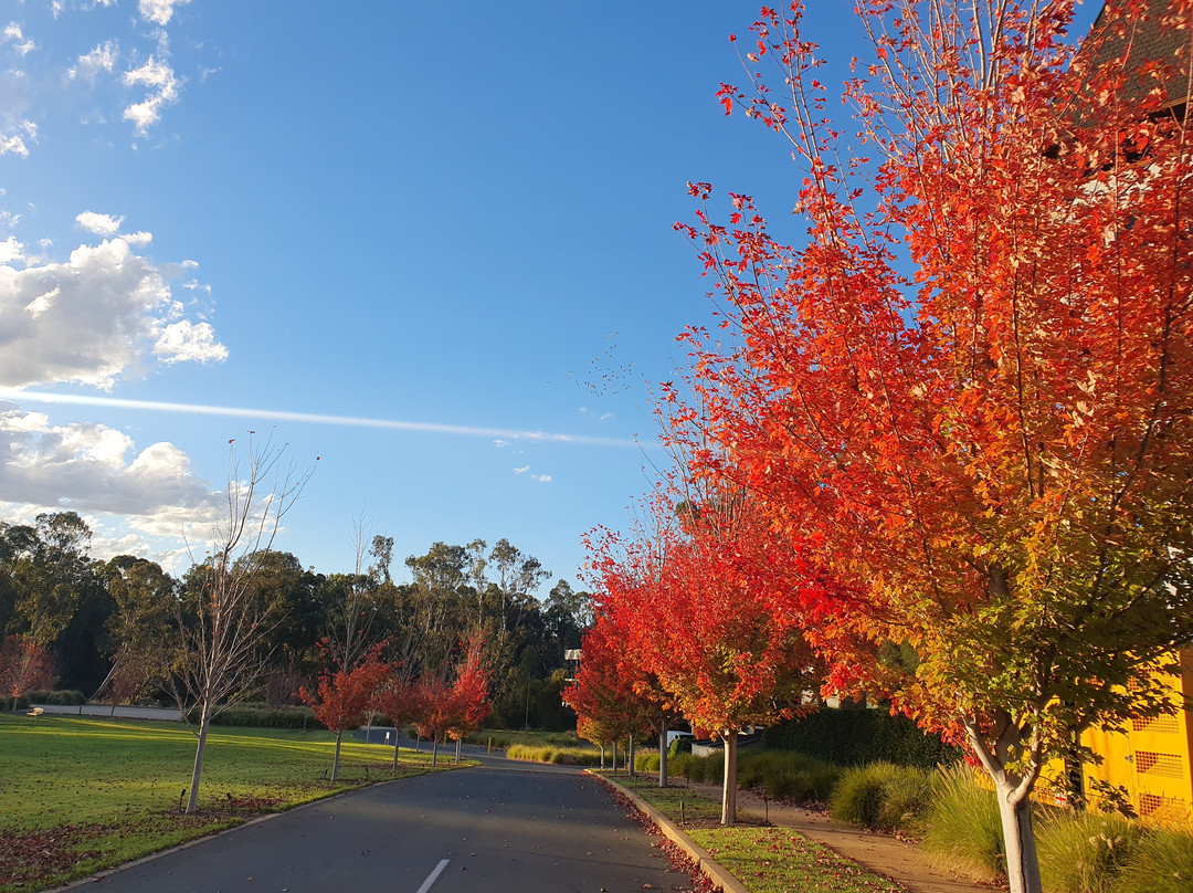 Mitchelton Wines-Nagambie必去景点