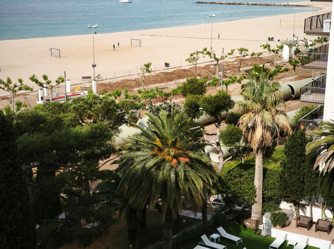 特利亚斯酒店主图