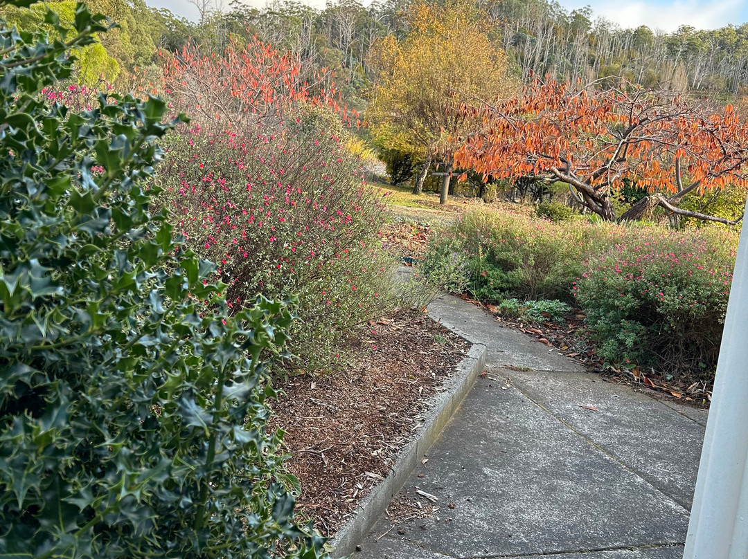 哈姆雷特丘陵地区住宿主图