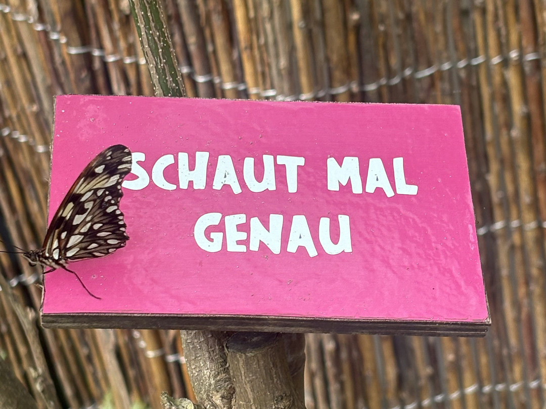 Schmetterlingspark Buchholz-Buchholz in der Nordheide必去景点