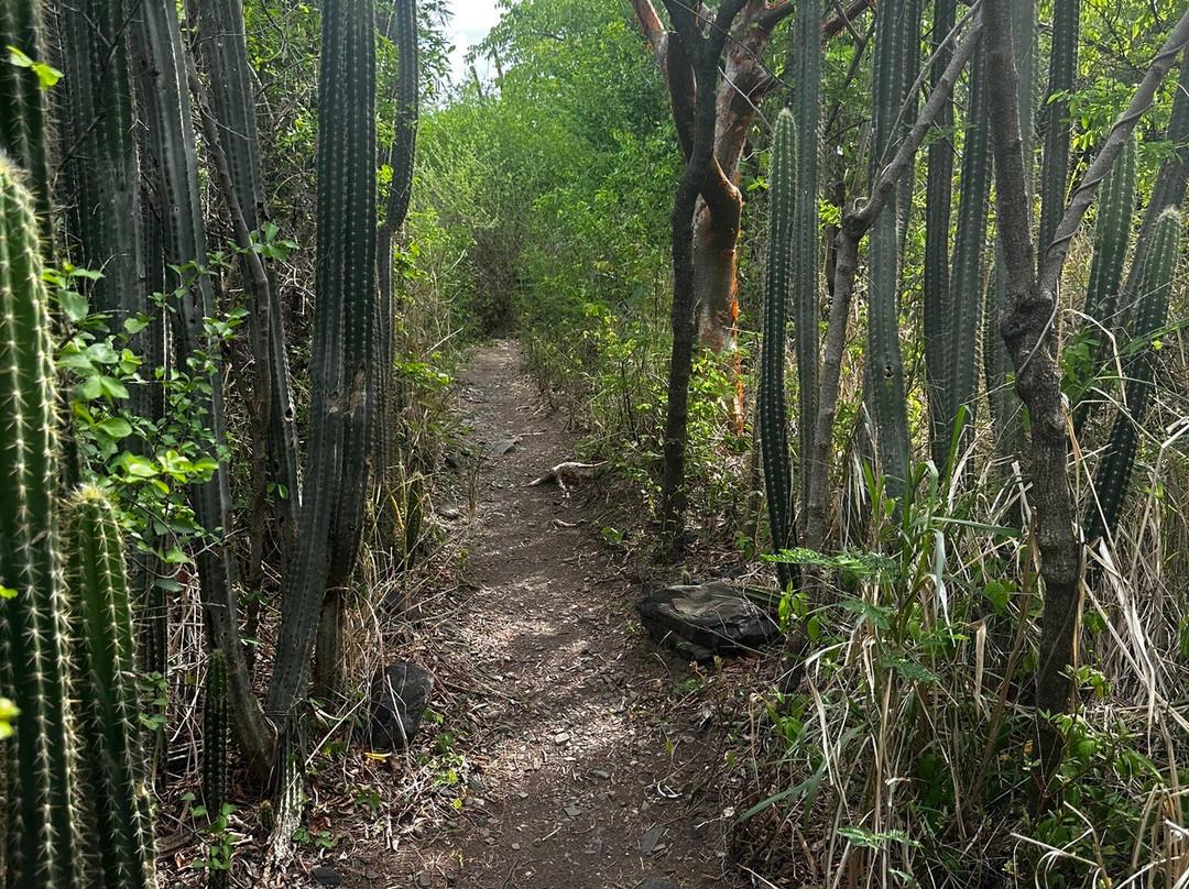 Petites Cayes-Anse Marcel必去景点