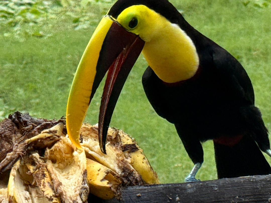 Kalkonu Travel-Ciudad Colon必去景点