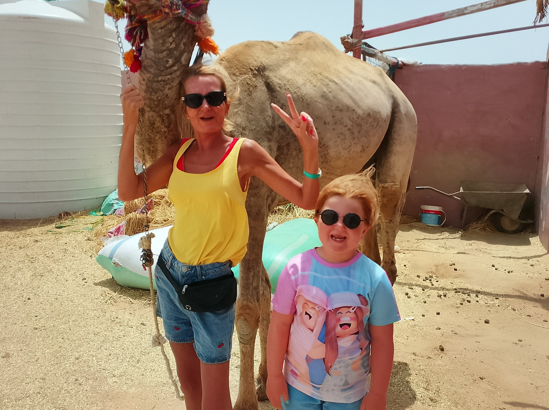 Horse Safari Hurghada-赫尔格达必去景点