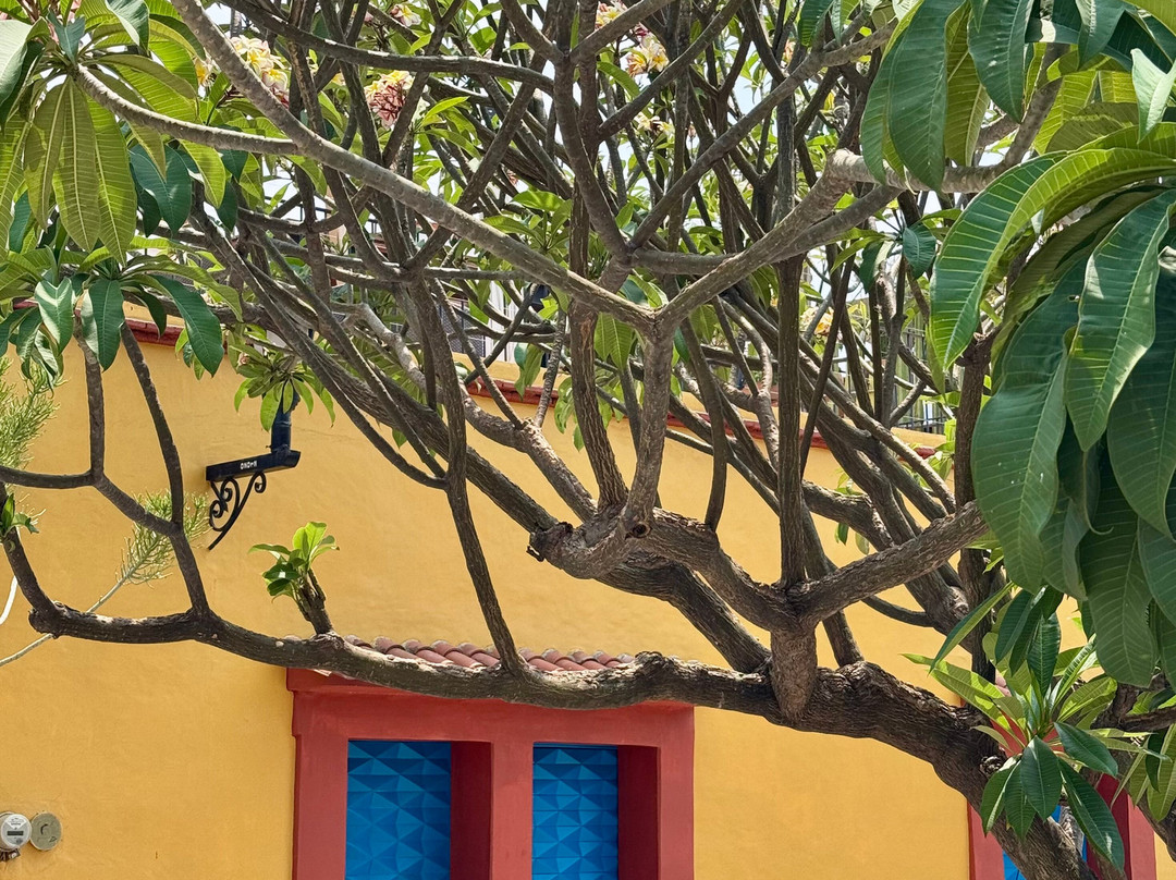 Discover Oaxaca Tours-瓦哈卡必去景点