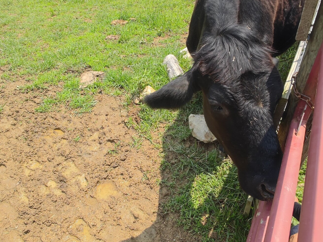 Piedmont Farm Animal Refuge-Pittsboro必去景点