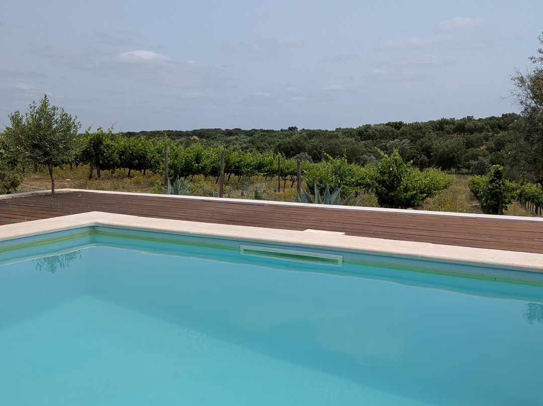 Monte Das Aranhas Guesthouse主图