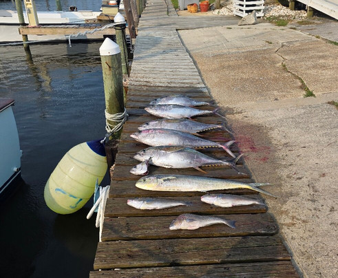Corolla Bait and Tackle-卡罗拉必去景点