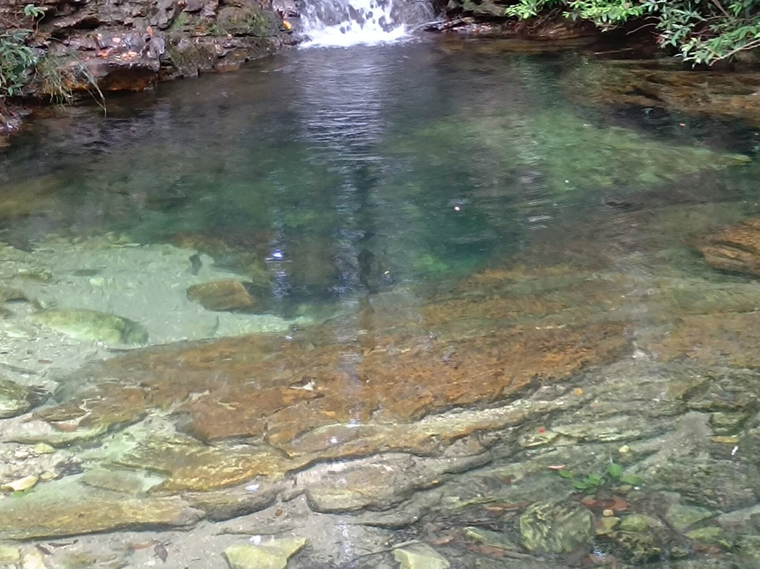 Cachoeira Loquinhas-上帕拉伊苏迪戈亚斯必去景点