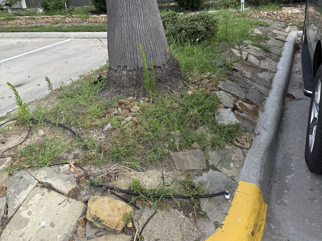 La Quinta Inn & Suites by Wyndham Tomball主图