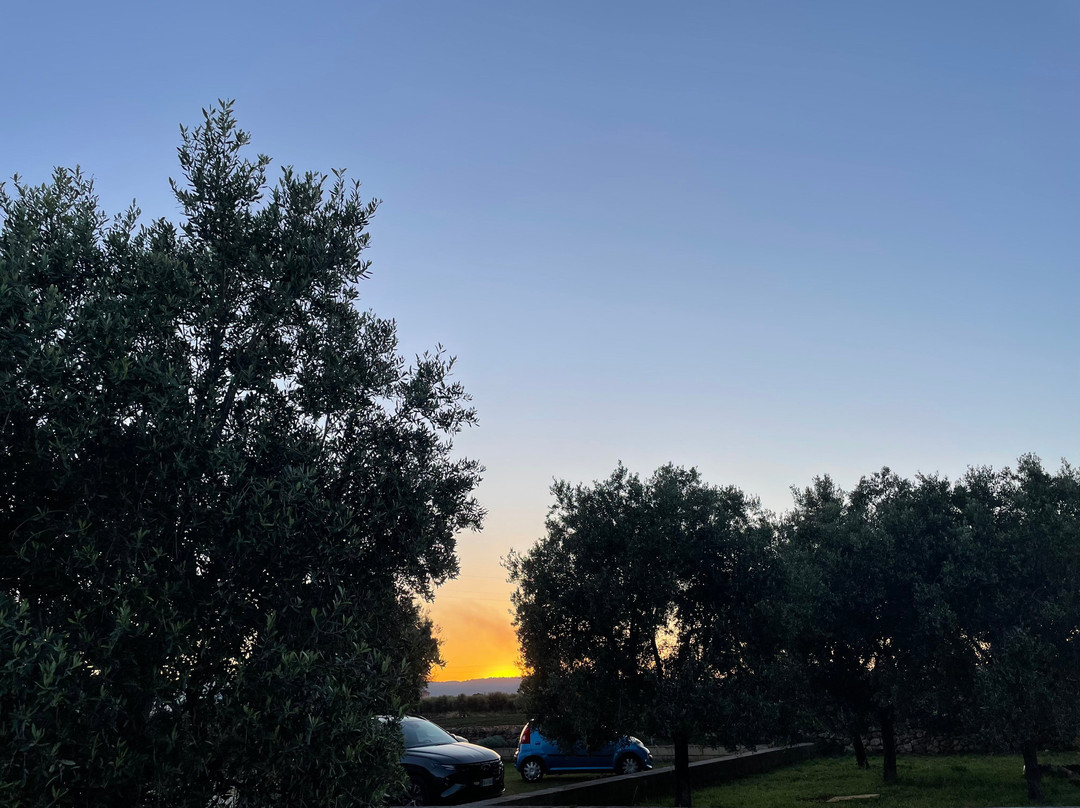 Parco Rupestre Lama D'Antico景点图片