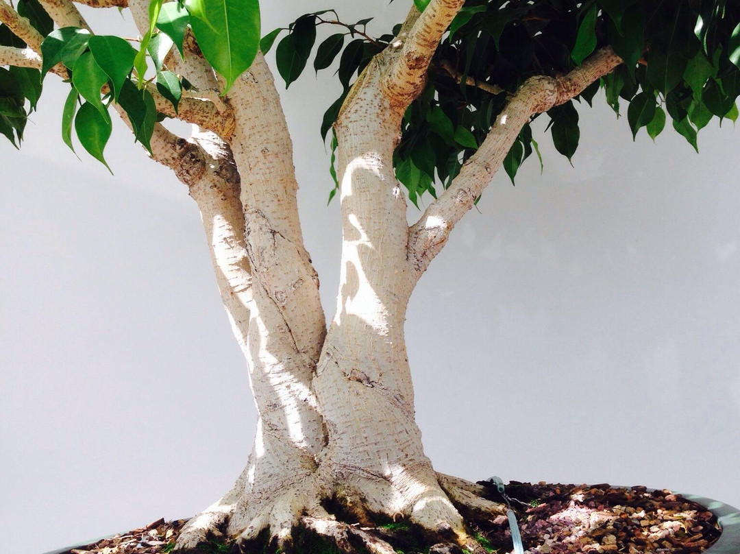 Como Park Zoo & Conservatory-圣保罗必去景点