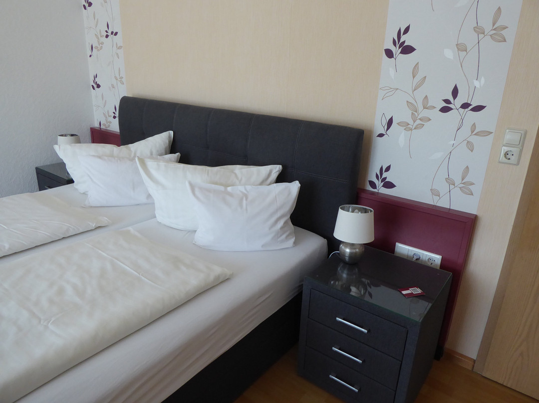 Hotel am Hochrhein主图