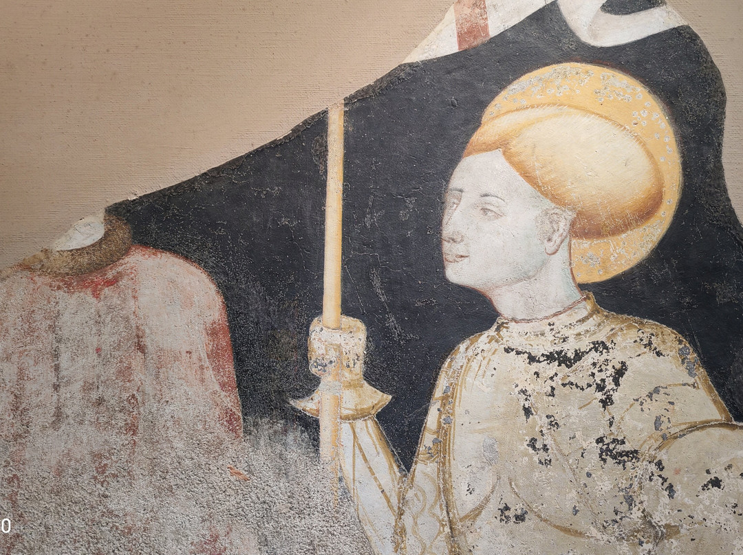 Civico Museo Archeologico e della Città di Savona-萨沃纳必去景点