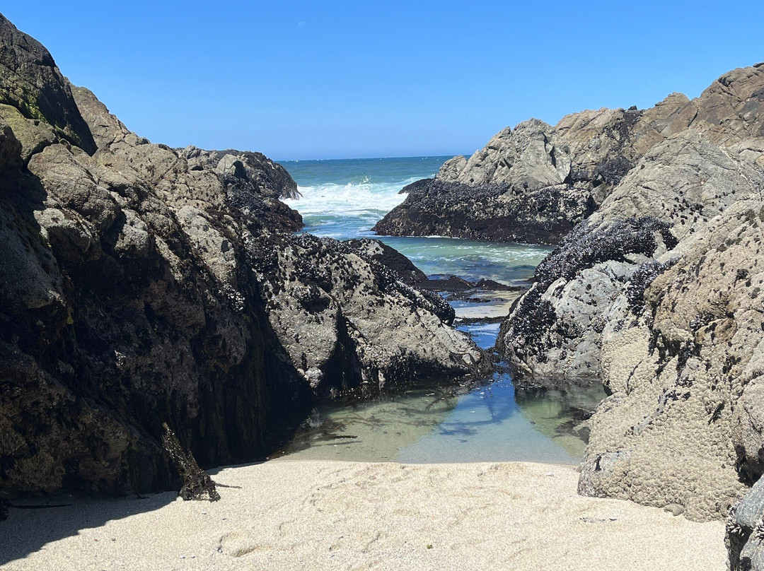 Bodega Head-博德加湾必去景点