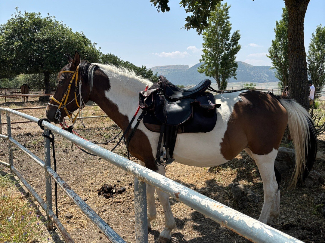 Horse Trekking Sicily景点图片