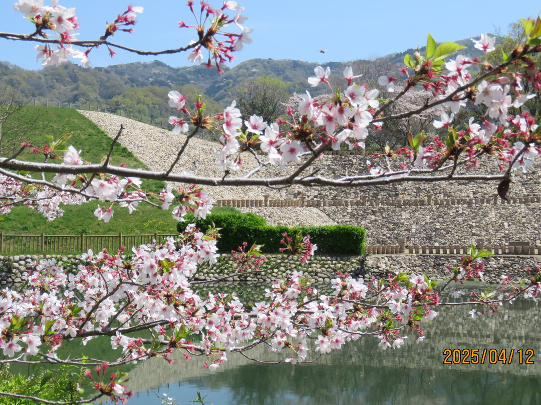 Shionjiyama Tumulus-八尾市必去景点