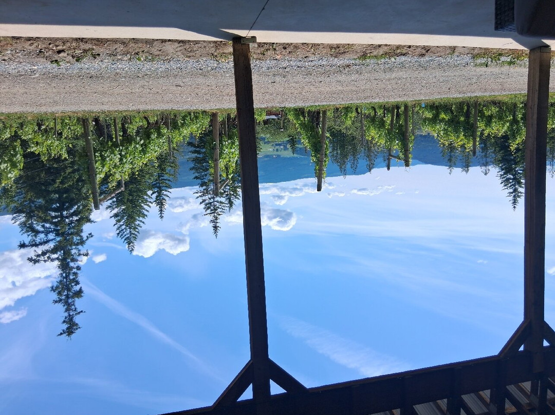 Larch Hills Winery-萨蒙阿姆必去景点
