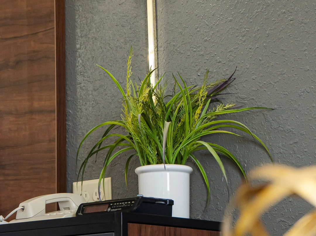 Victorian Inn & Suites主图