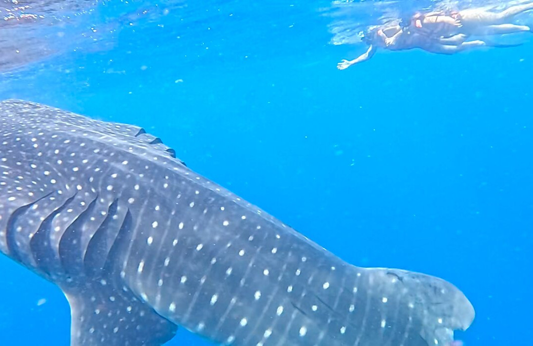 IMSEARENA-女人岛必去景点