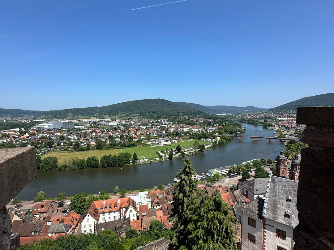 Miltenberg Castle Museum-米尔腾贝格必去景点