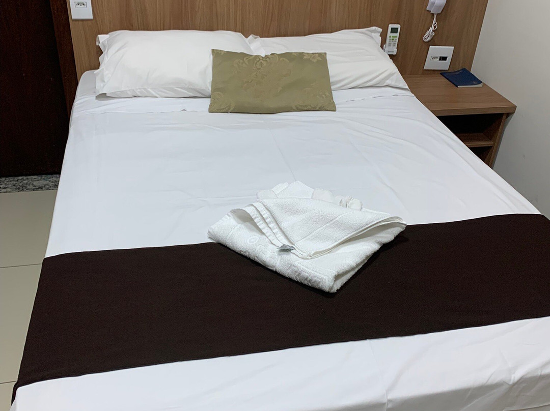 Pontal Executive Hotel主图