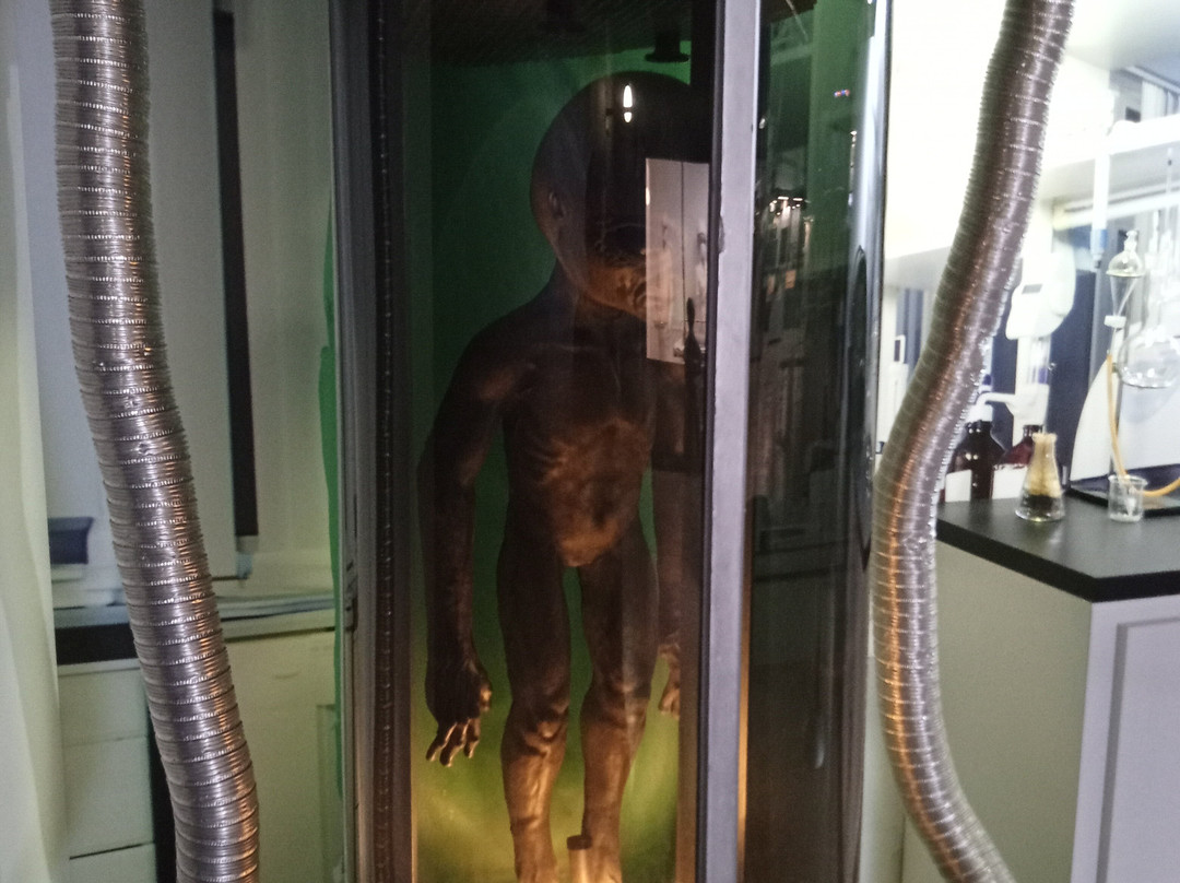 International UFO Museum And Research Center-罗斯威尔必去景点