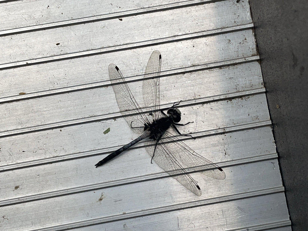 Emily Provincial Park-Kawartha Lakes必去景点