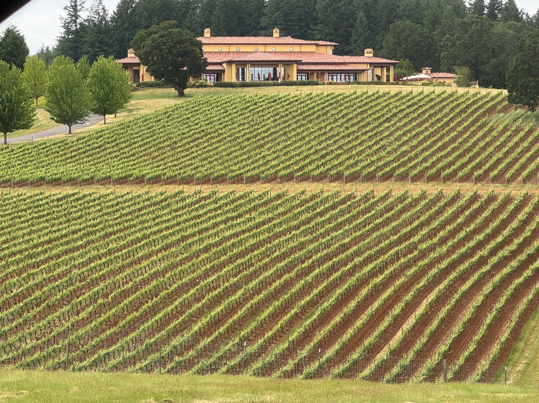 Domaine Serene Vineyards & Winery-Dayton必去景点