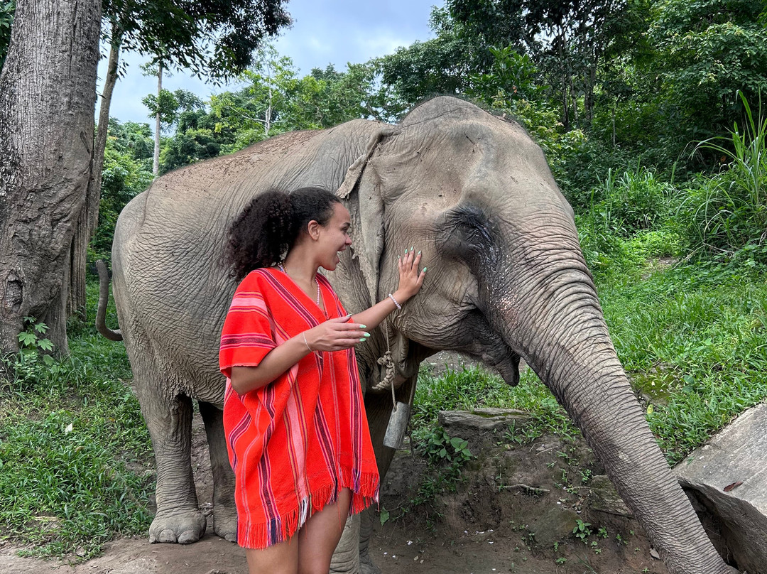 Chiangmai Elephant Sanctuary-清迈必去景点