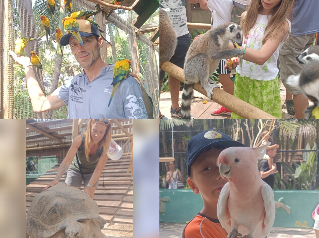 Jardin del Papagayo-Benicarlo必去景点
