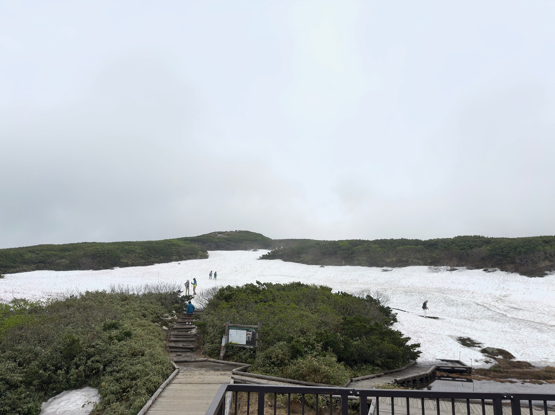Asahidake Ropeway-东川町必去景点