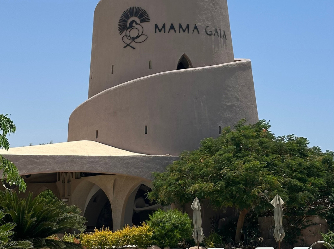 Mama Gaia Beach Club-亚喀巴必去景点