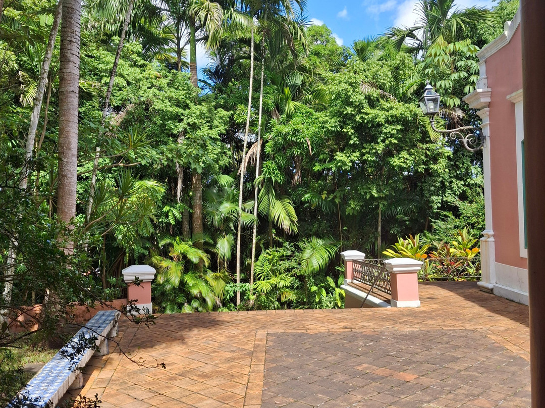 Fundacao Gilberto Freyre-累西腓必去景点