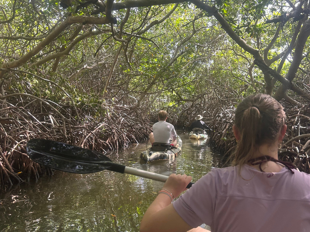 Outdoor Bonaire-Kralendijk必去景点